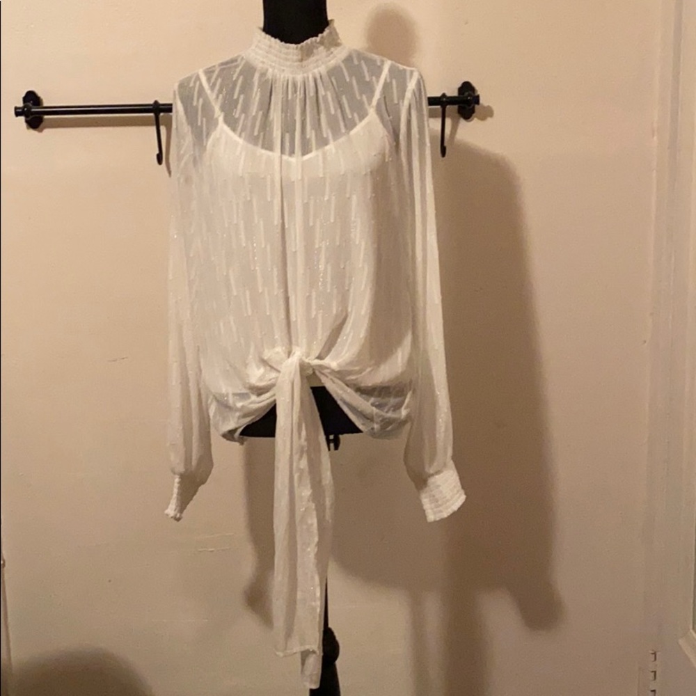 Express smocked tie front sheer blouse